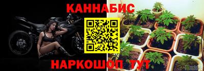 спайс Краснознаменск