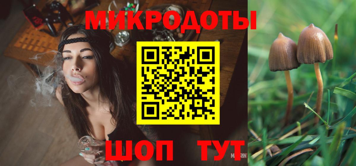 Камышин  Галлюциногенные грибы Magic Shrooms  Вход с VPN 